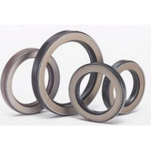 PTFE Oil Seal / Teflon Oil Seal